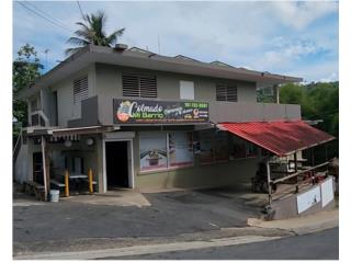 Galeria