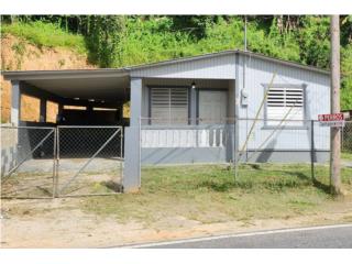 Carretera 123 antigua 10 Km 41  Adjuntas PR 0