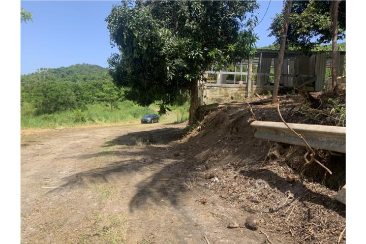 naguabo Santiago y Lime Solar pa la venta