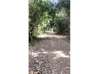 TERRENO DE 5.5 CUERDAS FRONTON-CIALES