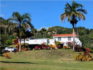 Carr. 476 Bo. Planas Sector El Canal Isabela 