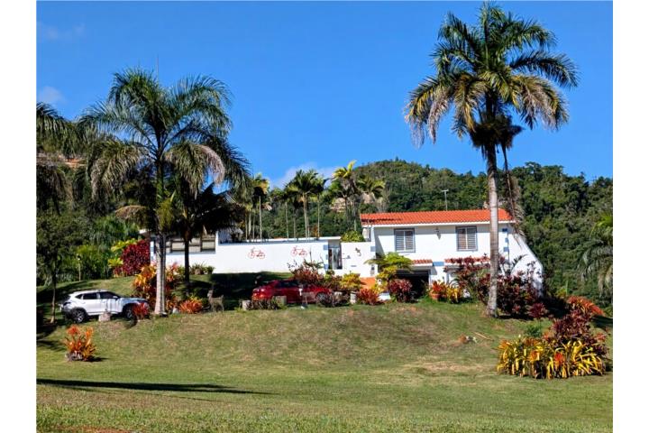 No es un sueño, es real.