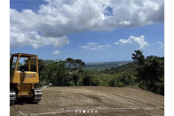 Cacao Puerto Rico Canóvanas