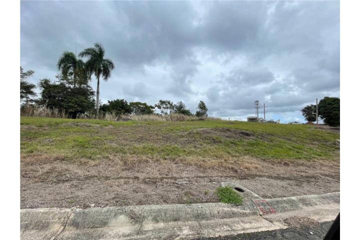 Hermoso solar de 1,158 metros con vista privilegiada en prestigiosa Urbanización Mansiones de Sierra