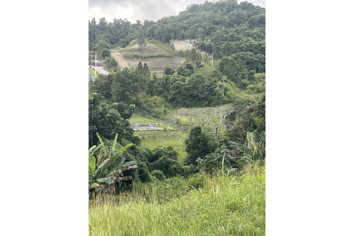 Jatibonito Puerto Rico Aibonito