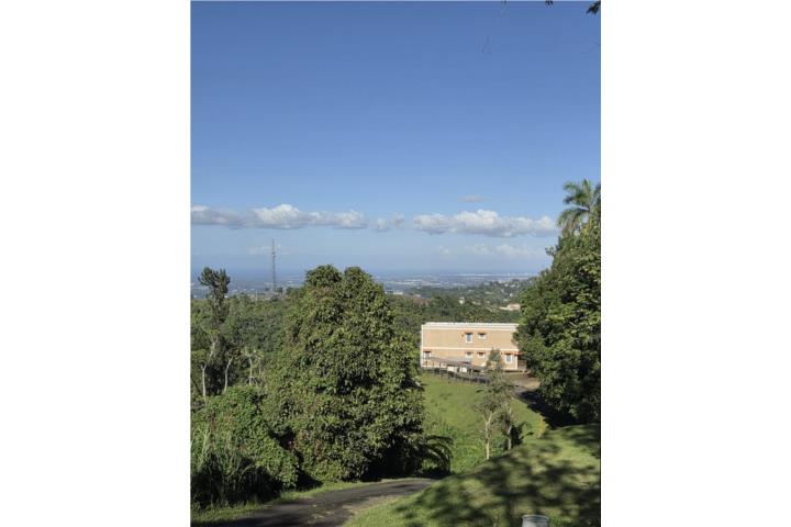 Mana Puerto Rico Corozal