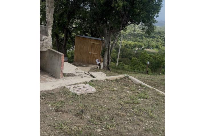 Lapa Puerto Rico Salinas