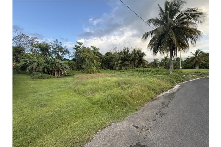 Hacienda Las Río Grande