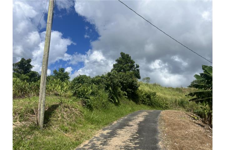 GANGA Venta de terreno en yabucoa para desarrollo es rústica no llana es área para trabajar tiene un