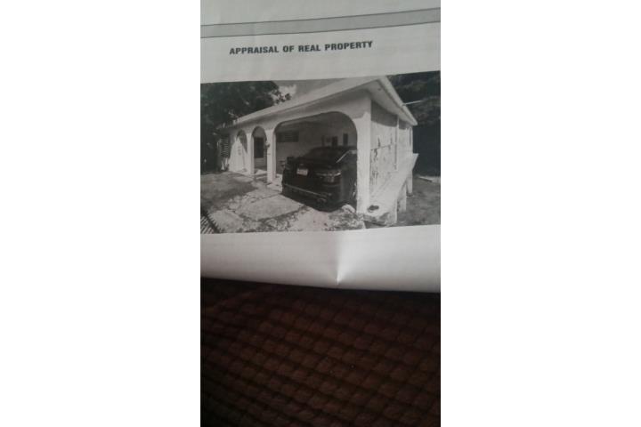 Quebrada Puerto Rico San Lorenzo