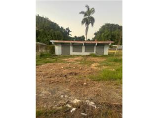 Galeria