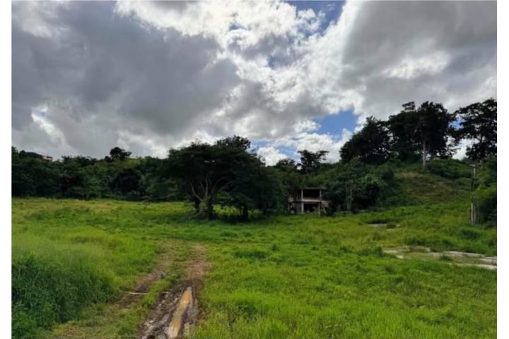 Capaez Puerto Rico Hatillo