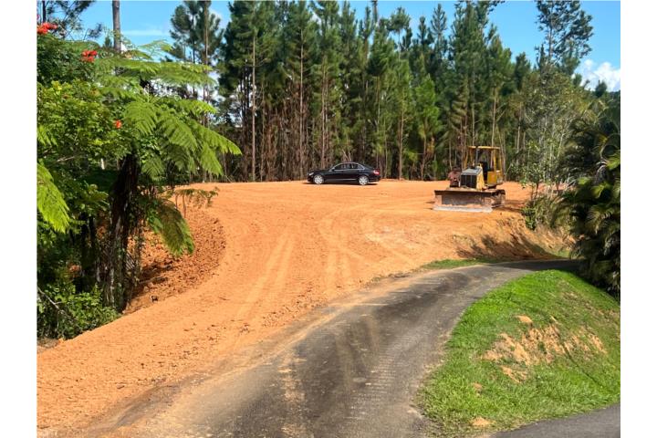 Finca ubicada en el Barrio Maná de Corozal con una extensión de 4.