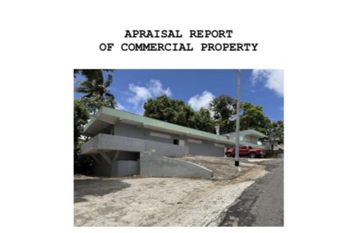 Pueblo Puerto Rico Cidra