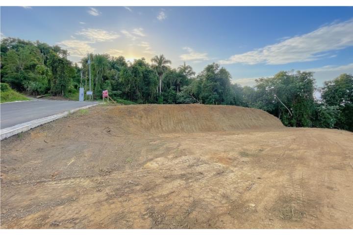 Excelente oportunidad; Lote de terreno en área residencial disponible para la venta en el sector Gua