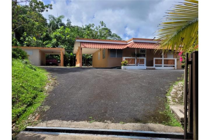 Guayabota Puerto Rico Yabucoa