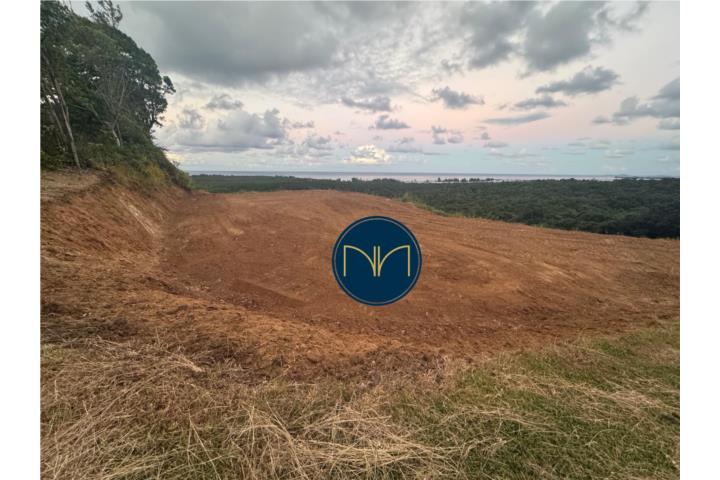 ¿Buscas un solar listo para construir en una de las zonas más deseadas de Río Grande? Este terreno d