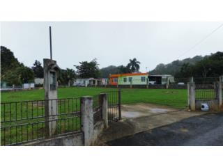 Galeria