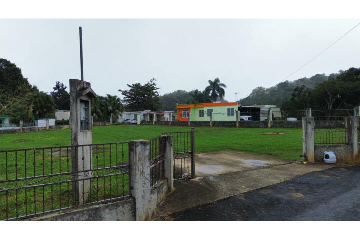 4 Fotos