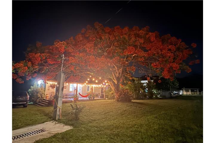 Hucares Puerto Rico Naguabo