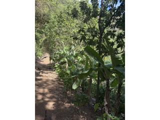 Hermosa Finca en Venta, 12 Cuerdas y 2 casas