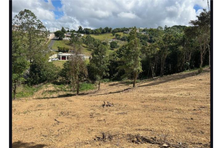 Terreno, Barrio Pasto, Aibonito
