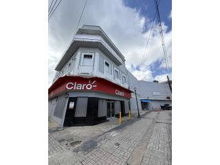 Galeria