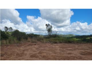 Finca 2cds. Bo. Montellano,Cidra