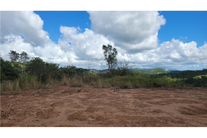 Finca 2cds. Bo. Montellano,Cidra