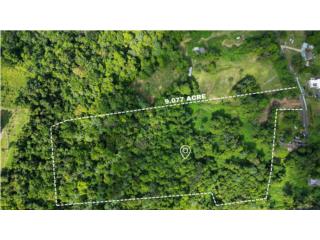 Unique investment opportunity in Vega Alta
