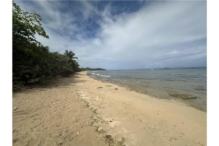 CHALETS DE LA PLAYA/Vega Baja
