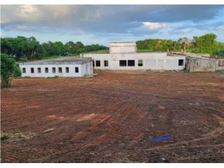 Galeria