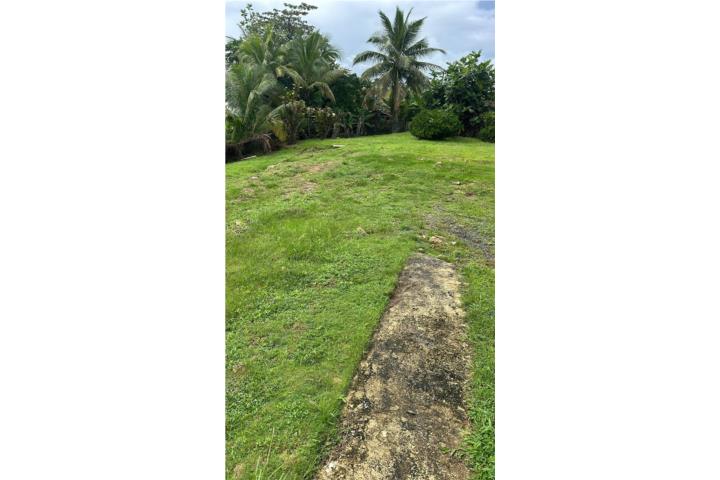 Urb. Flamboyan Cidra, PR