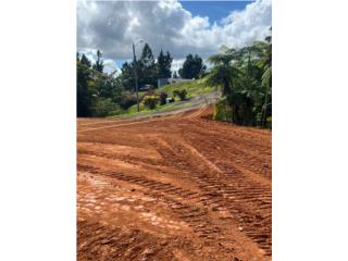 Bo. Man�, Corozal 4.24 cuerdas