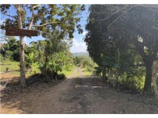 Finca con Casa en Barrio Tet�an