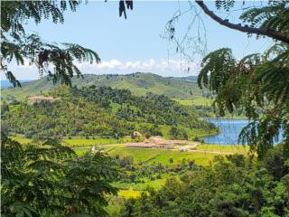 Bo. Maizales Naguabo, PR  00718