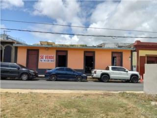 Galeria
