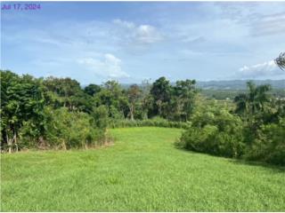 Hermosa Finca Morovis/Vega Baja-Súper Fresca