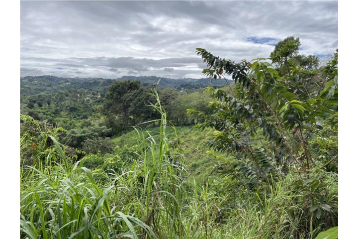 Finca, dos cuerdas de terreno. bo. Padilla