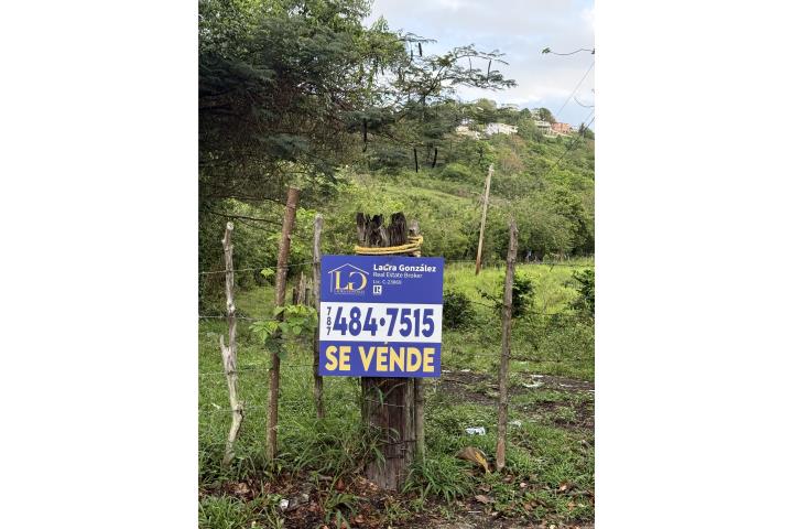 Terreno en Venta cerca de Palmas del Mar