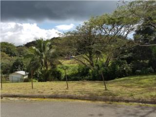 Hermoso Terreno Quebrada Cruz Toa Alta