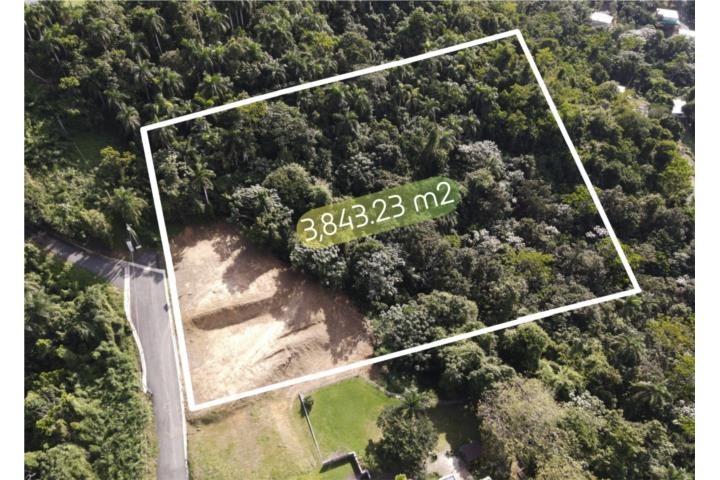 Terreno 3,843.23m Bo. Guaraguao