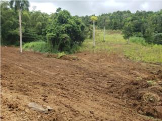 Solar 5,785.96 m2 con vistas en Ceiba