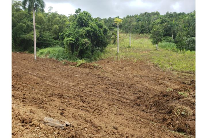 Solar 5,785.96 m2 con vistas en Ceiba
