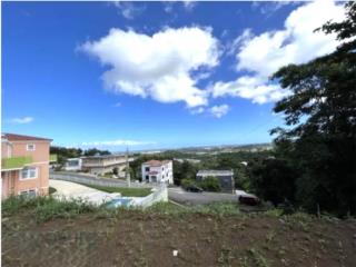 Urbanizacion Remanso Taino Calle Caguax #3 