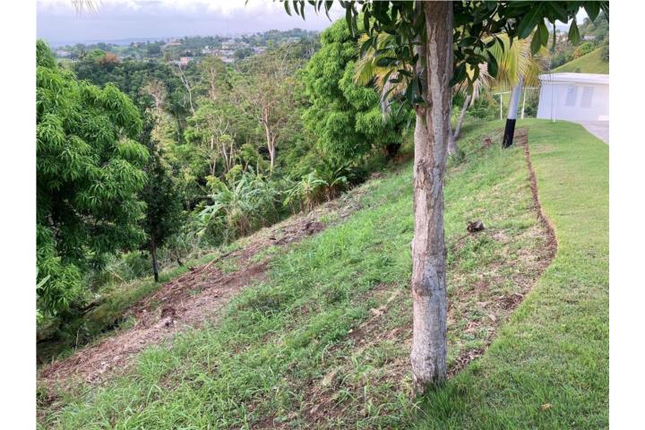 Lote de Terreno  Vista al mar  Aguada, PR