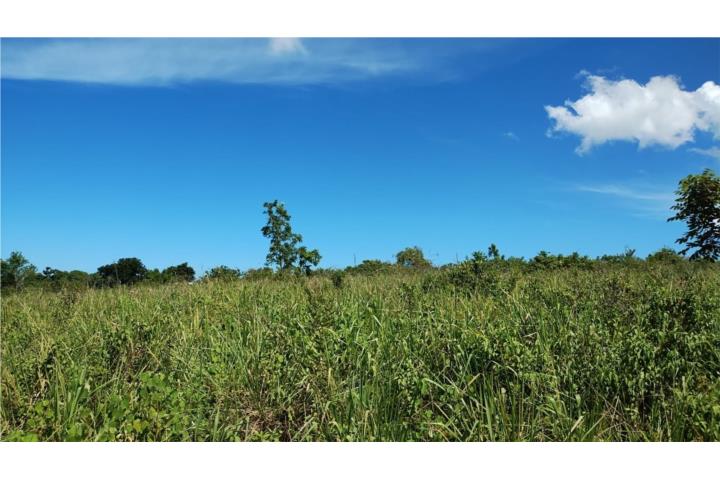 Vacant Land 3,620 sq mt in Cabo Rojo