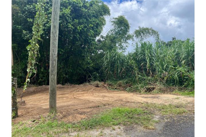 ¡Se Vende finca en San Lorenzo, PR !