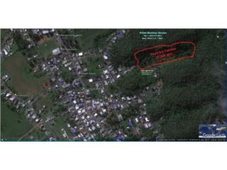 Se vende finca de 9.6 cuerdas en Quebradillas
