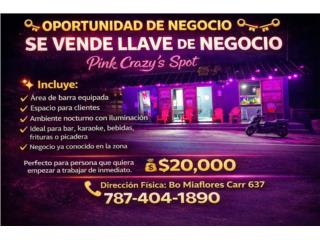 Propiedad en Arecibo